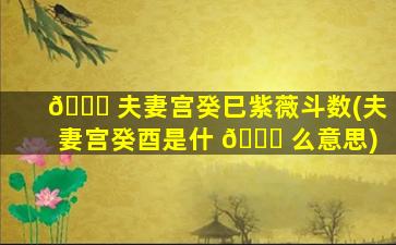 🐕 夫妻宫癸巳紫薇斗数(夫妻宫癸酉是什 🕊 么意思)